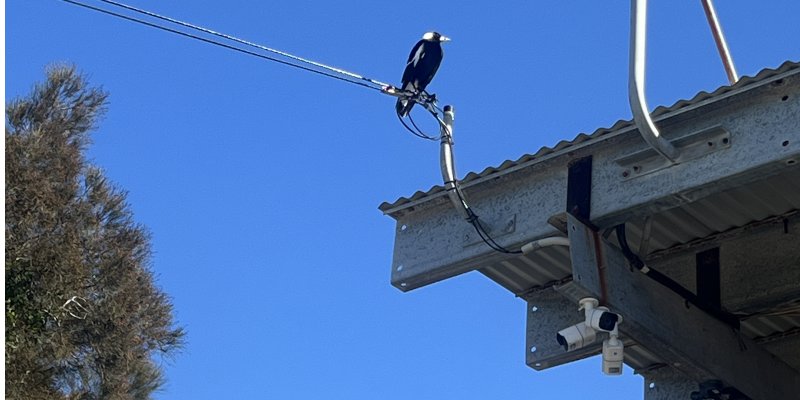 24/7 secure CCTV airport and cruise parking 